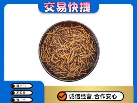 东营市广饶高价回收散虫草
